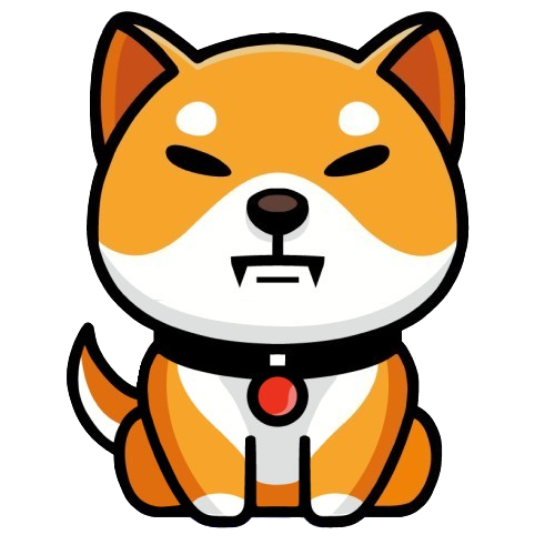 Baby Shiba